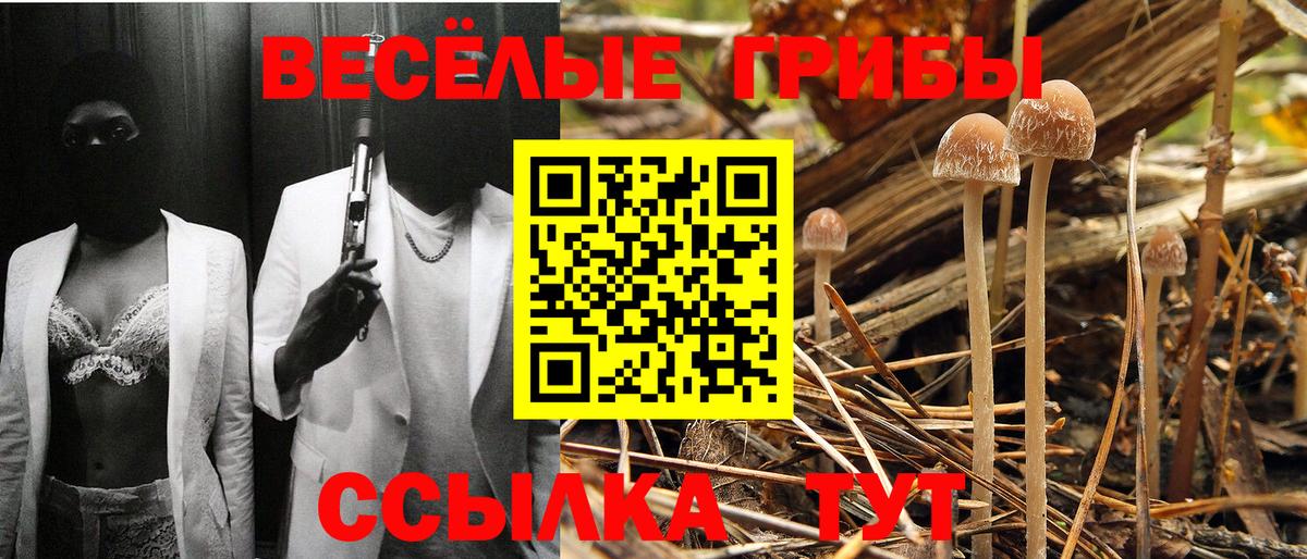 Галлюциногенные грибы Cubensis  Вход с VPN  Минусинск 